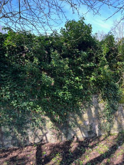 Chantier à Pont Saint-Ours - Patrick Ceschin
